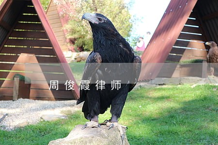 周俊霞律师