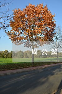 周公解梦梦到房子被法院收走 周公解梦梦到房子被法院收走