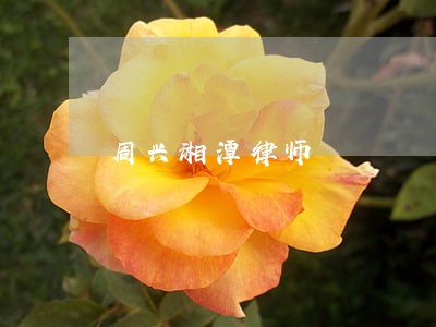 周兴湘潭律师 周兴湘潭律师