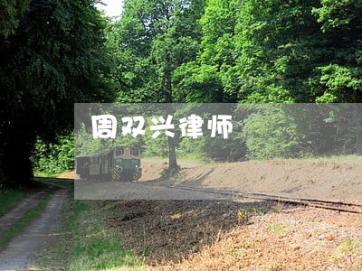 周双兴律师 周双兴律师