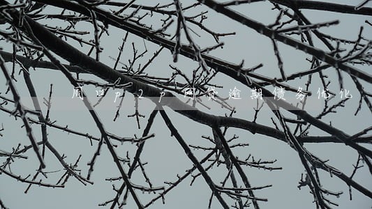 周口p2p网贷逾期债务优化 周口p2p网贷逾期债务优化