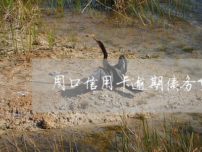 周口信用卡逾期债务重组延期还款