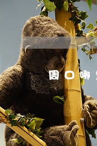 周口哪里有法律咨询 周口哪里有法律咨询