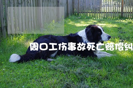 周口工伤事故死亡赔偿纠纷律师