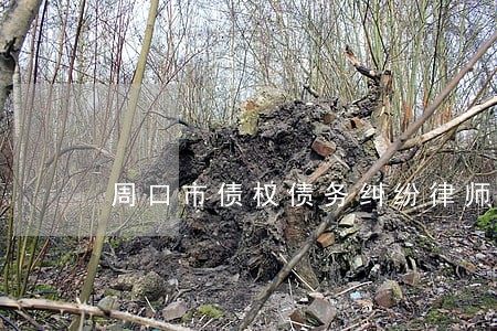 周口市债权债务纠纷律师