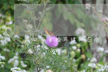 周口市重婚罪律师咨询 周口市重婚罪律师咨询