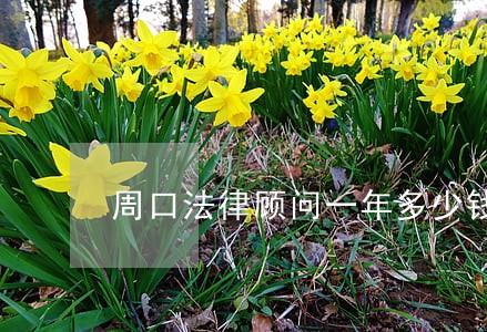 周口法律顾问一年多少钱 周口法律顾问一年多少钱
