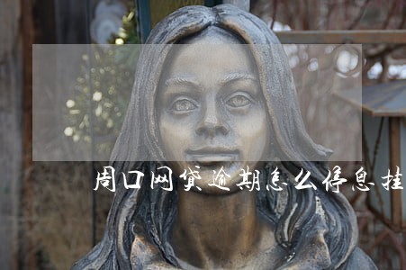 周口网贷逾期怎么停息挂账 周口网贷逾期怎么停息挂账