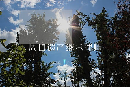 周口遗产继承律师