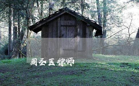周圣医律师 周圣医律师