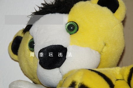 周垂远违法 周垂远违法