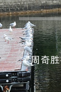 周奇胜律师