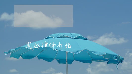 周好律师介绍 周好律师介绍