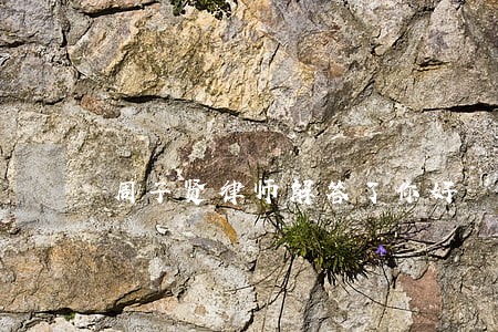 周子贤律师解答了你好 周子贤律师解答了你好