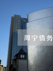 周宁债务合同律师