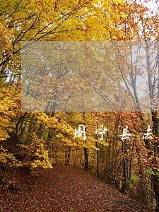 周宁县法律咨询 周宁县法律咨询