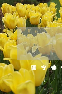 周宁律师事务所排名 周宁律师事务所排名
