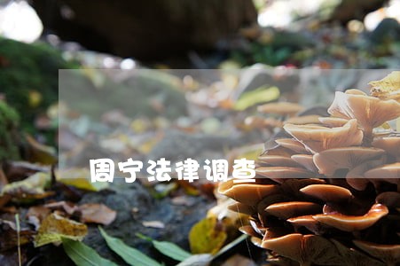 周宁法律调查 周宁法律调查