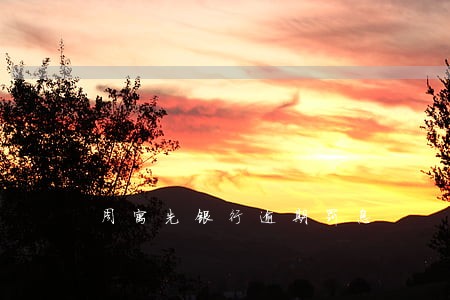 周寓先银行逾期罚息 周寓先银行逾期罚息
