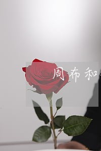 周布和律师 周布和律师