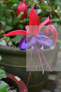 周建海律师 周建海律师