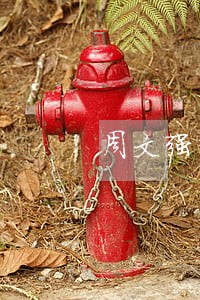 周文强评价信用卡逾期 周文强评价信用卡逾期