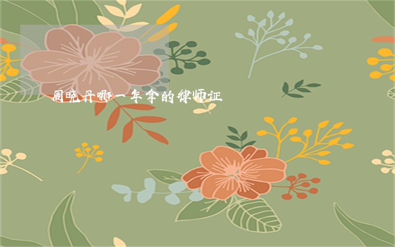 周晓丹哪一年拿的律师证