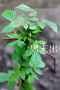 周末出差符不符合劳动法 周末出差符不符合劳动法