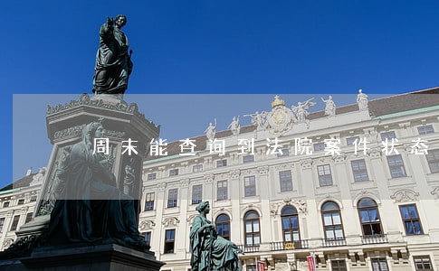 周末能查询到法院案件状态吗