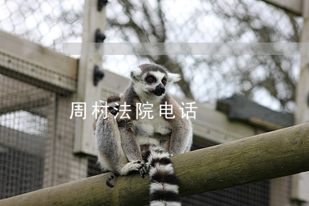 周村法院电话 周村法院电话