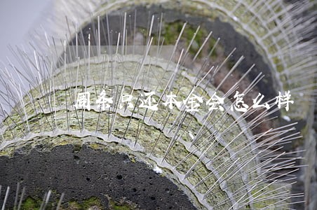 周条只还本金会怎么样 周条只还本金会怎么样