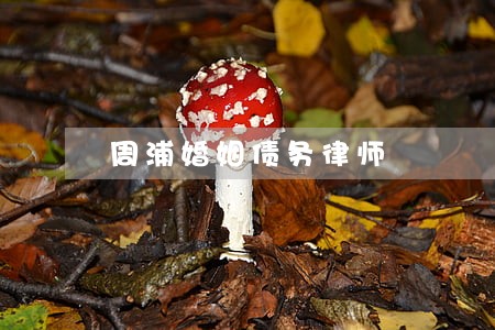 周浦婚姻债务律师 周浦婚姻债务律师