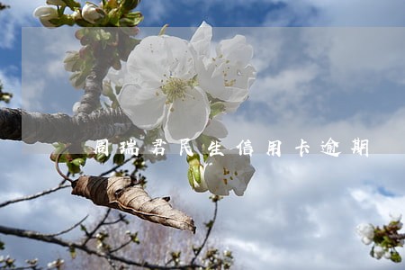 周瑞君民生信用卡逾期