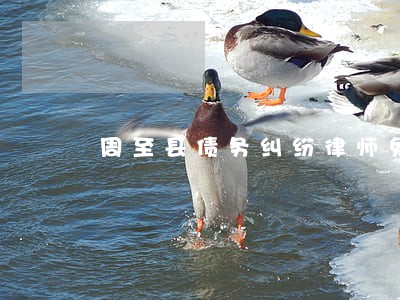 周至县债务纠纷律师免费咨询 周至县债务纠纷律师免费咨询