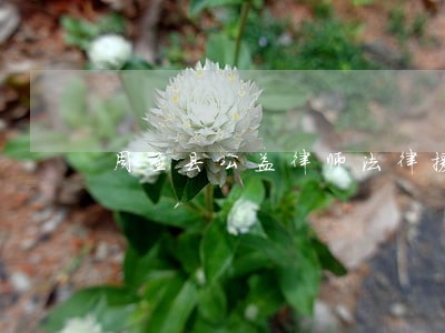 周至县公益律师法律援助 周至县公益律师法律援助