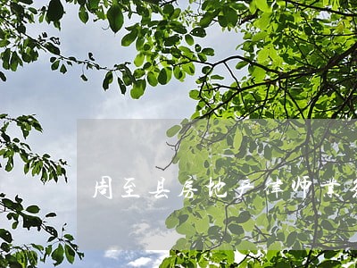 周至县房地产律师业务 周至县房地产律师业务