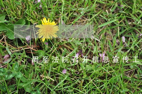 周至法院召开信息宣传工作会议 周至法院召开信息宣传工作会议