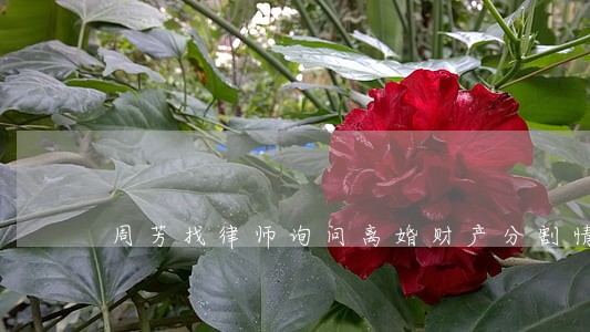周芳找律师询问离婚财产分割情况 周芳找律师询问离婚财产分割情况