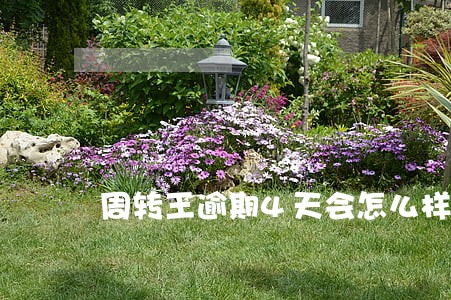 周转王逾期4天会怎么样 周转王逾期4天会怎么样