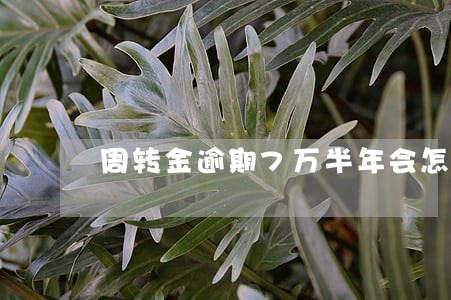 周转金逾期7万半年会怎么样 周转金逾期7万半年会怎么样