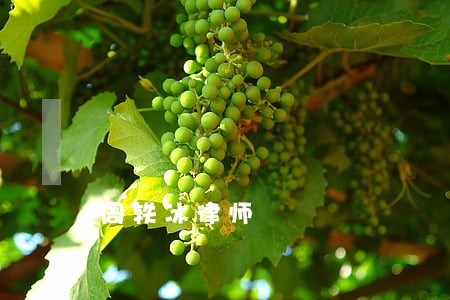 周轶冰律师 周轶冰律师