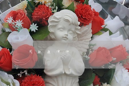 周钦逢律师 周钦逢律师