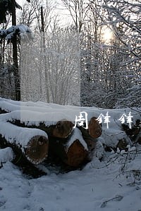 周锋锋律师 周锋锋律师