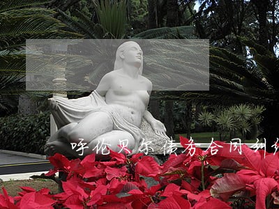 呼伦贝尔债务合同纠纷网律师 呼伦贝尔债务合同纠纷网律师