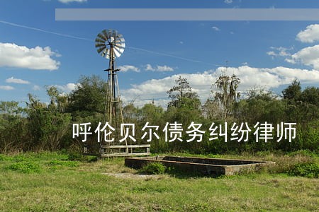 呼伦贝尔债务纠纷律师 呼伦贝尔债务纠纷律师