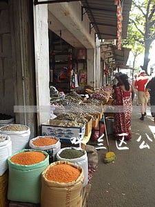 呼兰区公司法务律师查询 呼兰区公司法务律师查询