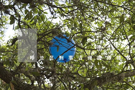呼兰区刑事咨询律师排名 呼兰区刑事咨询律师排名
