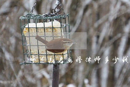呼兰知名离婚律师多少钱 呼兰知名离婚律师多少钱