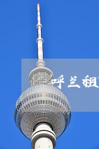 呼兰租赁合同纠纷律师 呼兰租赁合同纠纷律师