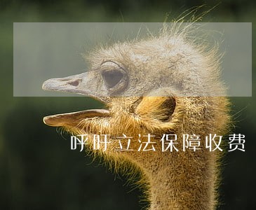 呼吁立法保障收费